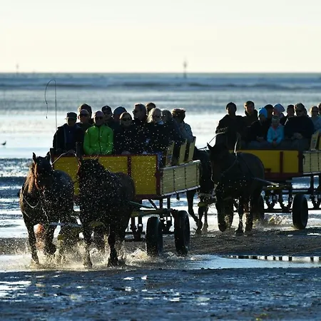 Haus Hohe Geest Hg28 아파트