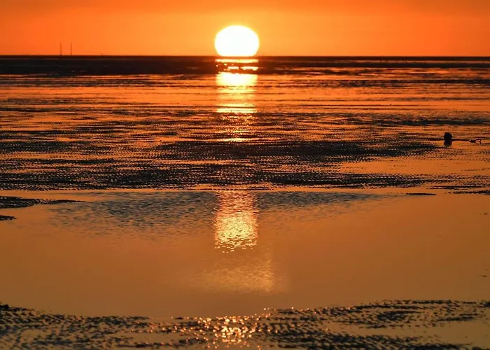 Haus Hohe Geest Hg28 *